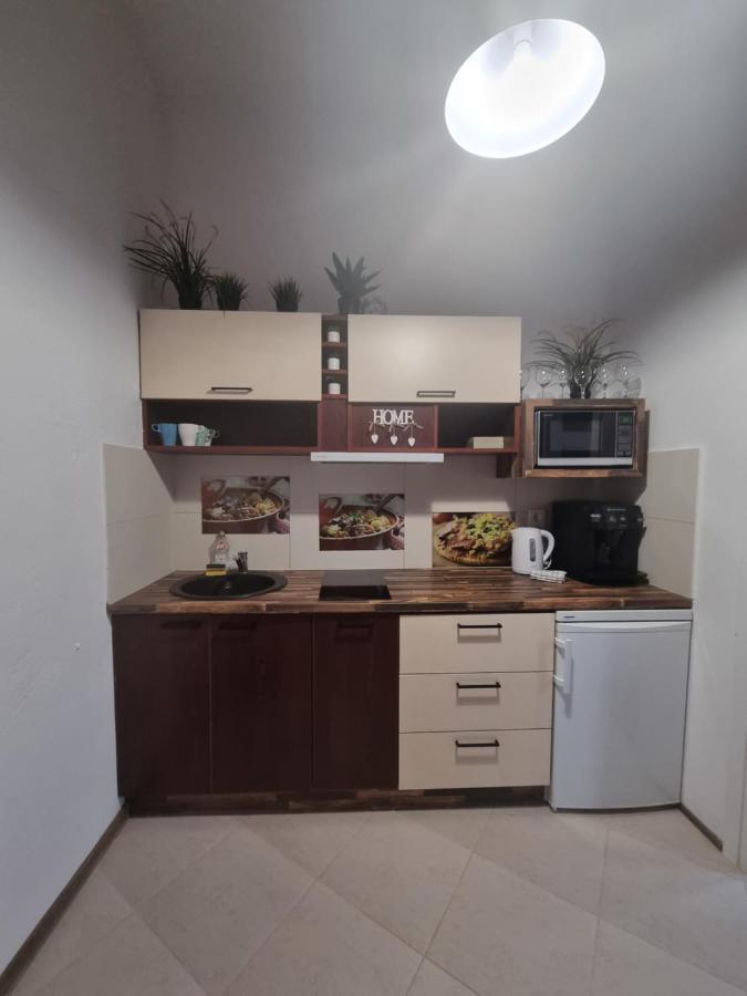 Nemuno Apartamentai Kaunas Esterno foto